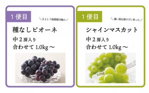 【2026年先行予約】ピオーネとシャインマスカット、中2房の2回便！(定期便) (岡山県産)【KF-T002-02】