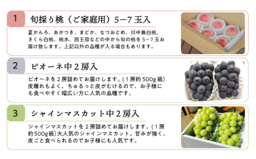 【2026年先行予約】桃、ピオーネ、シャインマスカットが少しずつ届く夏の満足便！３回便(定期便) (岡山県産)【KF-T022-02】