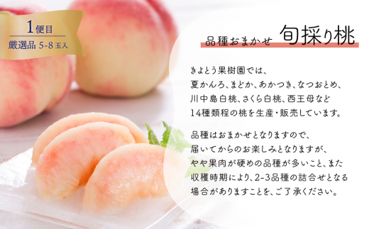 【2026年先行予約】厳選した桃と大粒のシャインマスカットが届く満足便！２回便 (定期便)(岡山県産)【KF-T036-01】