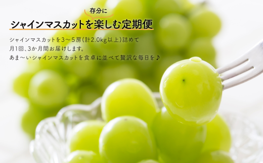 【2026年先行予約】岡山のシャインマスカットを楽しむ満足3回便！3-5房入×3回/全便計6.0kg~ (定期便)(岡山県産)【KF-T047-03】