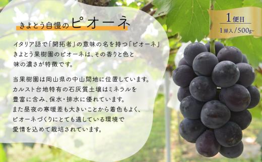 【2026年先行予約】気になる葡萄を試したい！ピオーネ・シャインマスカット・紫苑の3回便(定期便)(岡山県産)【KF-T057-01】