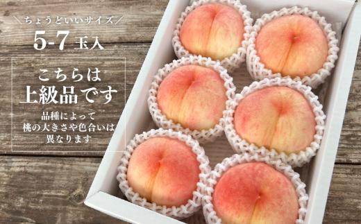 【2026年先行予約】旬の桃をぜいたくに味わう！上級品の３回便(定期便) (岡山県産)【KF-T058-01】