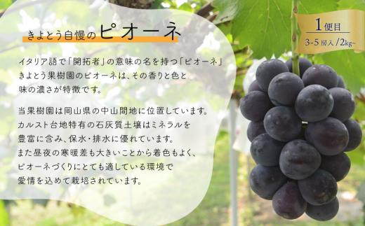 【2026年先行予約】質も量も大満足！3種の葡萄を季節ごとにお届けする3回便(定期便)(岡山県産)【KF-T059-01】