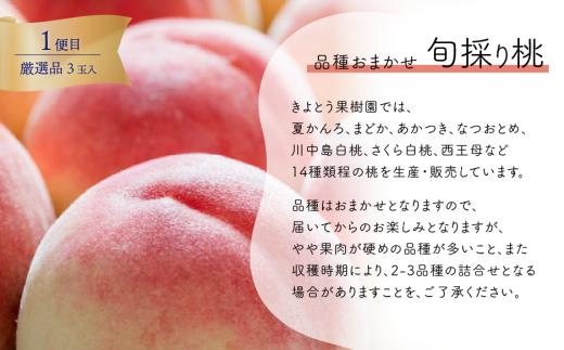 【2026年先行予約】量より質！厳選した大玉桃と大粒のシャインマスカットが届く２回便！ (定期便)(岡山県産)【KF-T063-01】