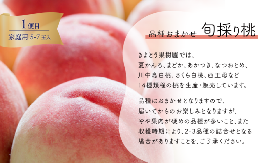 【2026年先行予約】いろんなフルーツをちょっとずつ、桃・葡萄・梨の4回便(定期便) (岡山県産)【KF-T064-01】