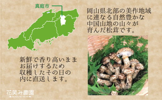 【2026年先行予約】 花笑み農園　岡山の『松茸』200g 【hana011-02】