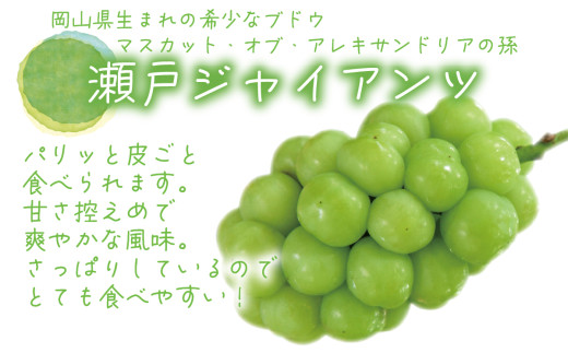 【2026年先行予約】 ぶどう 岡山 花笑み農園の『シャインマスカット&瀬戸ジャイアンツ』1kg (2房)  / ぶどう ブドウ 葡萄 シャインマスカット 瀬戸ジャイアンツ 先行予約 フルーツ 果物 真庭市 【hana046-02】