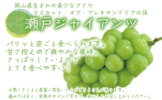 【2026年先行予約】 ぶどう 岡山 花笑み農園の『シャインマスカット&瀬戸ジャイアンツ』1kg (2房)  / ぶどう ブドウ 葡萄 シャインマスカット 瀬戸ジャイアンツ 先行予約 フルーツ 果物 真庭市 【hana046-02】