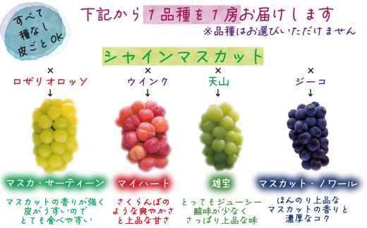 【2026年先行予約】岡山 花笑み農園　『園主おすすめぶどう2種セット』～シャインの親子セット～ 【hana065-02】