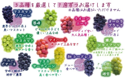 【2026年の先行予約】花笑み農園 10月おすすめ『ぶどう３種』家庭用（1.8kg） 岡山 詰め合わせ 食べ比べ 真庭市 【hana086-01】