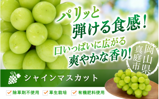 【2026年先行予約】 ぶどう 岡山 花笑み農園『シャインマスカット』 家庭用 約2kg（3～5房） 岡山 真庭 シャインマスカット 家庭用 真庭市 数量限定 9月下旬～ 受付順に発送予定 【hana061-02】