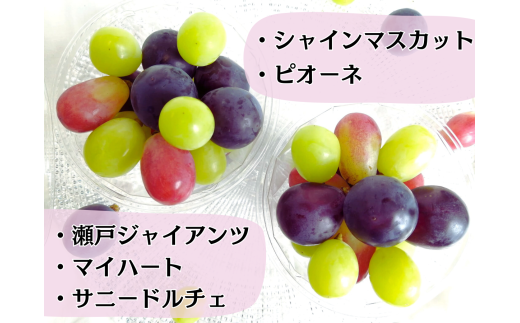 ※2026年の予約です！※【産地直送】フルーツ王国岡山！シャインマスカット入りぶどう粒カップ×２ / 岡山 真庭 シャインマスカット 食べ比べ 葡萄 ブドウ ぶどう 新鮮 果物 フルーツ 人気 数量限定 粒切 食べやすい  ギフト ぶどう専門 林ファミリー  (2026年9月～発送予定) 【hfbd002-02】