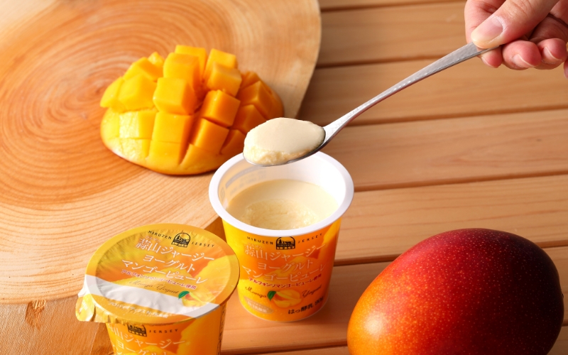 ★蒜山ジャージー★ デザートヨーグルトと飲むヨーグルトセット（計14個） / 詰め合わせ 人気 贅沢ヨーグルト スイーツ 白桃 マンゴー ブルーベリー 食べ比べ デザート プレゼント 贈答 蒜山酪農 真庭 岡山 ジャージー ギフト【hiru009-01】