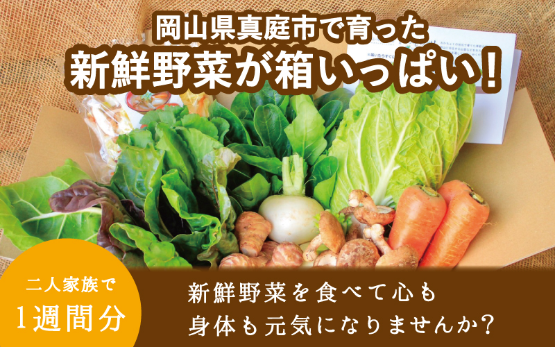 岡山の旬をお届け！ 真庭あぐり野菜セット 10～11品 便利なカット野菜入り / 産地直送 農家 お試し おためし野菜 岡山県 旬野菜 新鮮 あぐりガーデン 国産 【配送不可地域：北海道／沖縄県／離島】【yasai002】【jujiya002】