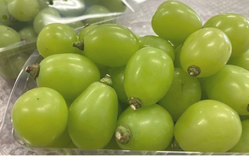 2026年先行予約 Lino＆Kai Farmのシャインマスカット 粒カットバラ品 (1kg程度） ぶどう 岡山 真庭市 シャインマスカット 高級 【linokai003-02】