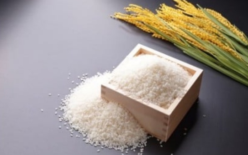 ＜定期便 全6回＞ 令和7年新米 真庭市産 太安さんちのあきたこまち 無洗米 10kg（5kg×2袋）×6回 / お米 国産 岡山県 人気 ブランド 2025年産 【tkns-tkb049】 10kg(5kg×2袋)×６回