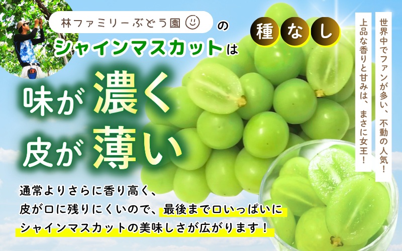 【訳あり】 ※2026年の予約です！※ 岡山県産 林ファミリーのシャインマスカット 約4kg（約5～8房）【2026年先行予約】 / ブドウ ぶどう 岡山 真庭市 マスカット 葡萄 果物 フルーツ 新鮮 人気 数量限定 お買い得 家庭用 お試し たっぷり ぶどう専門 【hfami023-02】