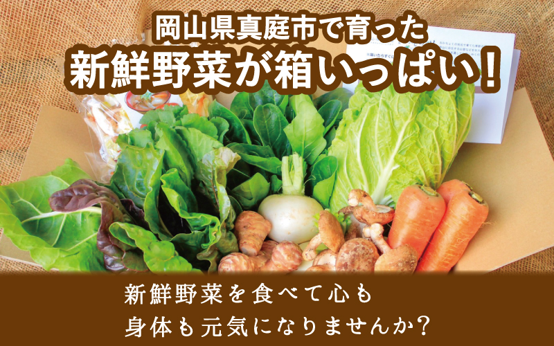 まにわの野菜 真庭あぐり野菜セット 7～8品 便利なカット野菜入り / 詰め合わせ 産地直送 農家 お試し おためし野菜 岡山県 旬野菜 新鮮 あぐりガーデン 国産 【配送不可地域：北海道／沖縄県／離島】【yasai001】【jujiya001】