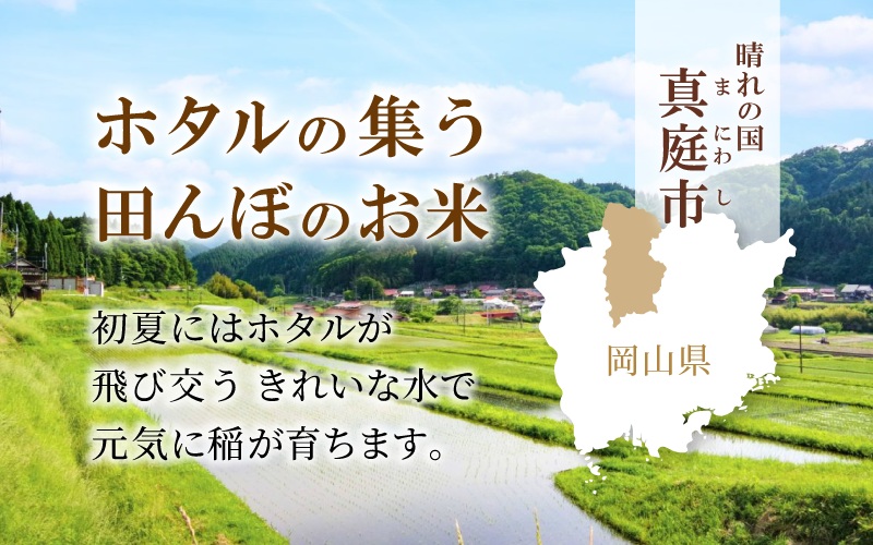 【令和7年産先行予約】＜定期便全６回＞ 令和７年新米 真庭市産 ひとめぼれ 無洗米 １０kg(5kg×2袋)×６回（定期便）/ お米 岡山県 真庭市 無洗米 米 ヒトメボレ ひとめぼれ 人気 ブランド米 新米 令和7年産 2025年産 <TKN-29-6>【takenaka042-01-tkb06】 10kg(5kg×2袋)×６回