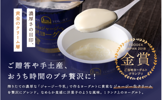 【定期便 月2回×12カ月】 全24回 ヨーグルト 蒜山ジャージー贅沢ヨーグルト(90g)×10個 ご当地ヨーグルトグランプリ金賞 岡山 蒜山 真庭 プレゼント 贈答 セット デザート ギフト 牛乳 冷蔵 【hiru-tkb008】