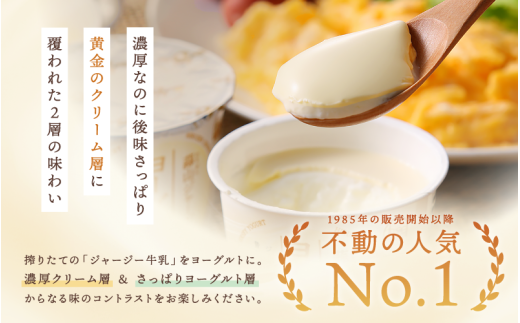 【定期便12カ月】 全12回  蒜山ジャージーヨーグルト10個入×12回 定番人気NO.1 冷蔵 「ご当地ヨーグルトグランプリ」金賞 デザート プレゼント 蒜山酪農 真庭 岡山 ジャージー 牛 牛乳 ミルク 濃厚 乳製品 おやつ 人気 ランキング 女性 ヨーグルト 【hiru-tkb004】