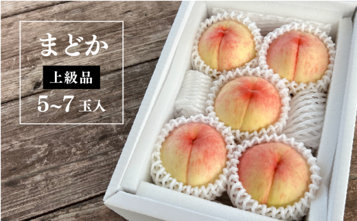【2026年先行予約】まどか 白桃 上級品 5-7玉入 (岡山県産)【KF-A022-02】