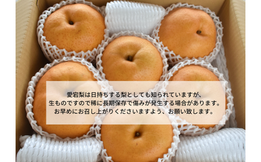 【2026年先行予約】あたご梨 ご家庭用/約５kg (岡山県産) / あたご梨 愛宕梨 梨 ご家庭用 果物 くだもの フルーツ 和梨 【KF-C008-03】