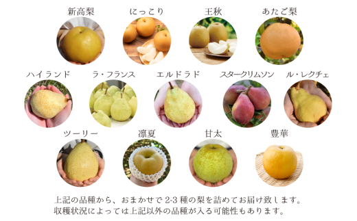 【2026年先行予約】梨好きのための、梨2～3種食べ比べ ご家庭用 5-7玉 (岡山県産) 【KF-C016-02】