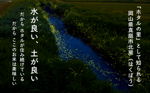 【令和7年産】きぬむすめ 「岡山ほたる米」 精米10kg（5kg×2袋） (岡山県産)  産地直送 《数量限定》 真庭市【KF-R002-02】