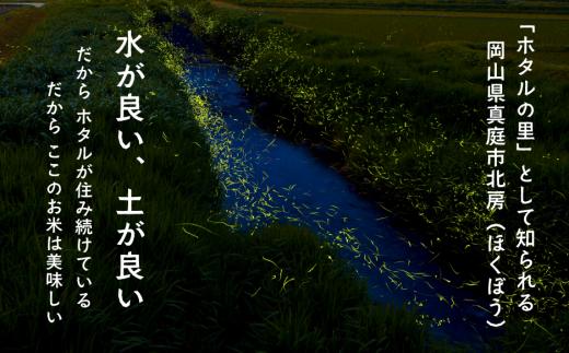 【2026年先行予約】令和8年産新米 岡山ほたる米 きぬむすめ精米10kg (岡山県真庭産)【KF-R004-01】