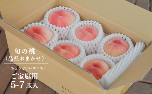 【2026年先行予約】旬採り桃とシャインマスカットどっちも食べたい便！２回便(定期便) (岡山県産)【KF-T012-04】