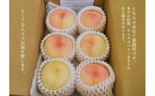 【2026年先行予約】【きよとうファーム】旬の桃の食べ比べを楽しむ、桃の２回便！(定期便) (岡山県産)【KF-T025-01】