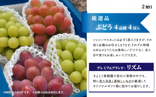 【2026年先行予約】桃、ぶどう、梨の最上級品を旬にお届けする3回便！ (定期便)(岡山県産) 【KF-T033-01】