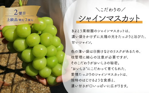 【2026年先行予約】厳選した桃と大粒のシャインマスカットが届く満足便！２回便 (定期便)(岡山県産)【KF-T036-01】