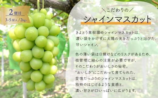 【2026年先行予約】質も量も大満足！3種の葡萄を季節ごとにお届けする3回便(定期便)(岡山県産)【KF-T059-01】