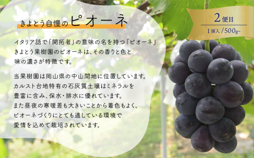 【2026年先行予約】いろんなフルーツをちょっとずつ、桃・葡萄・梨の4回便(定期便) (岡山県産)【KF-T064-01】