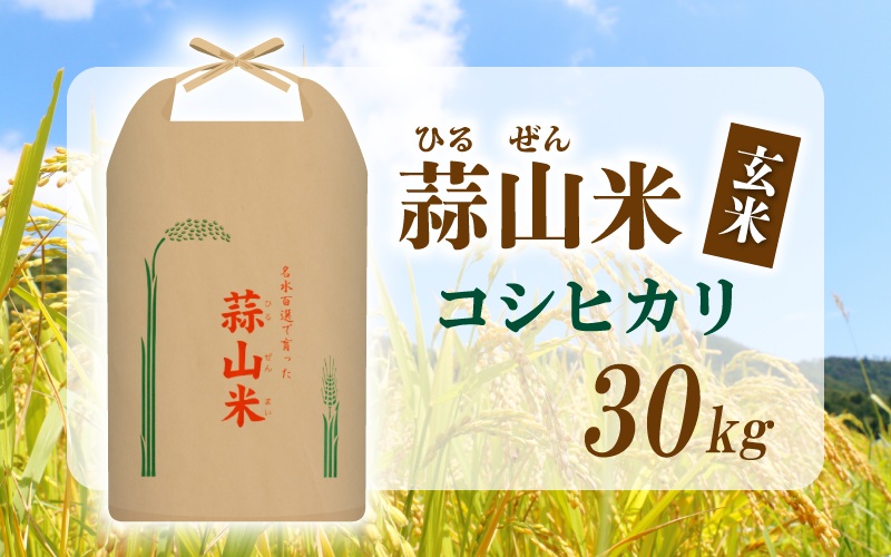 【令和7年産】 真庭市産 蒜山米 コシヒカリ 玄米 30kg /  真庭市 岡山県 令和7年産 2025年産 新米 玄米 数量限定 2025年9月下旬～順次発送予定 【agurih006-03】