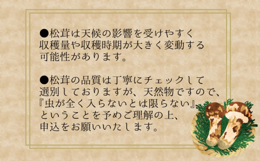 【2026年先行予約】 花笑み農園　岡山の『松茸』200g 【hana011-02】