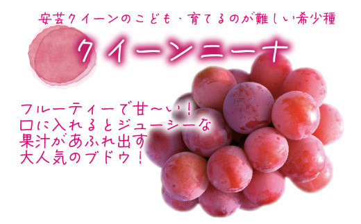 【2026年先行予約】岡山　花笑み農園『ニューピオーネ&クイーンニーナ』1kg(2房) / ぶどう 詰め合わせ 食べ比べ 真庭市【hana031-02】