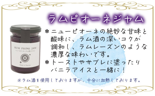 【2026年先行予約】花笑み農園　岡山の『ピオーネ&ラムピオーネジャム&ピオーネワイン&飲む酢』 【hana074-02】