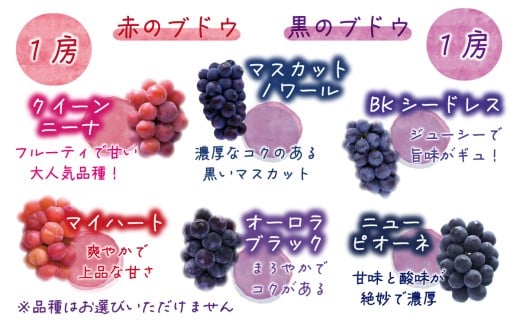 【2026年の先行予約】 花笑み農園 ぶどう『彩り３種セット』贈答用（1.8kg） 岡山 詰め合わせ 食べ比べ 真庭市 【hana084-01】