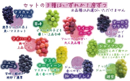 【2026年の先行予約】花笑み農園のぶどう『食べ比べ４種セット』 シャイン入り2kg 家庭用 岡山 詰め合わせ 真庭市 【hana087-01】