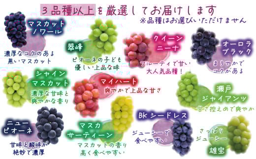 【2026年の先行予約！】 訳あり ぶどう 花笑み農園おまかせ3種以上（約１kg） hana18-1. / ぶどう 詰め合わせ 食べ比べ シャインマスカット ピオーネ クイーンニーナ オーロラブラック 瀬戸ジャイアンツ 翠峰 BKシードレス マスカサーティーン マスカットノワール 雄宝 マイハート 岡山 真庭市 【hana018-02】