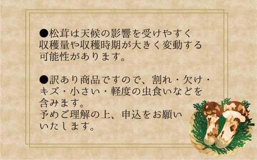 【2026年先行予約】花笑み農園　岡山の訳あり『松茸』200g 【hana023-02】