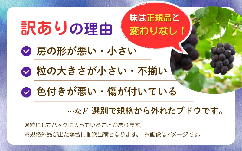 【2026年の先行予約です】 ぶどう 訳あり 花笑み農園の ニューピオーネ 1kg hana33. / ぶどう ブドウ 葡萄 岡山 ピオーネ 先行予約 フルーツ 果物 真庭市【hana033-02】
