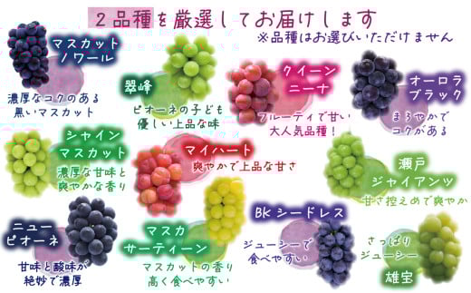 【2026年先行予約】 ぶどう 岡山 【訳あり】 花笑み農園の ぶどうおまかせ2種 （計1kg分お届け！） 農園厳選  / ぶどう ブドウ 葡萄 シャインマスカット ピオーネ クイーンニーナ オーロラブラック 瀬戸ジャイアンツ 翠峰 BKシードレス マスカサーティーン マスカットノワール 雄宝 マイハート 真庭市 【hana049-02】