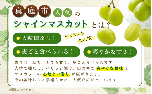 【2026年先行予約】 ぶどう 岡山 花笑み農園『シャインマスカット』 家庭用 約2kg（3～5房） 岡山 真庭 シャインマスカット 家庭用 真庭市 数量限定 9月下旬～ 受付順に発送予定 【hana061-02】