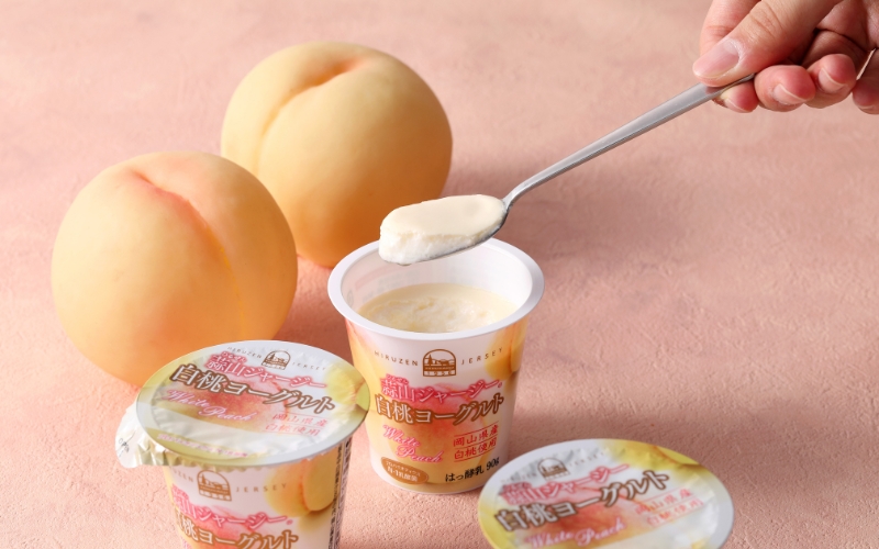 ★蒜山ジャージー★ デザートヨーグルトと飲むヨーグルトセット（計14個） / 詰め合わせ 人気 贅沢ヨーグルト スイーツ 白桃 マンゴー ブルーベリー 食べ比べ デザート プレゼント 贈答 蒜山酪農 真庭 岡山 ジャージー ギフト【hiru009-01】