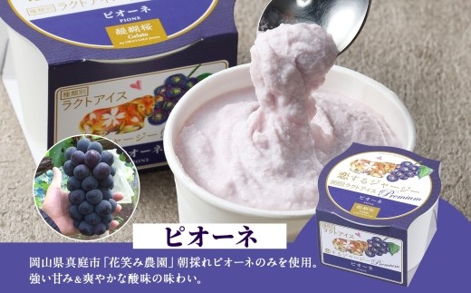 【ジェラート醍醐桜】【熨斗】恋するジャージーPremiumピオーネ6個セット / 岡山 真庭 醍醐桜 極上スイーツ 濃厚 プレゼント 贈答 デザート ギフト ジャージー牛 ミルク ジェラート おやつ ぶどう 子供から大人まで 冷凍 人気 贅沢  【nhss008n-01】