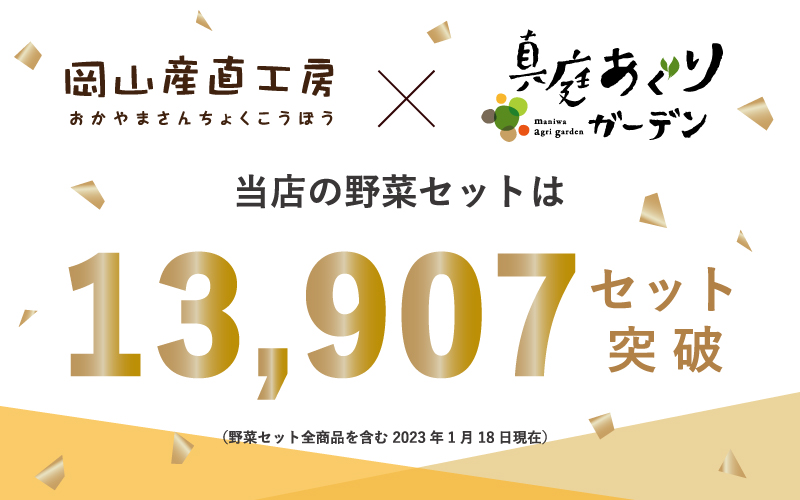 岡山の旬をお届け！ 真庭あぐり野菜セット 10～11品 便利なカット野菜入り / 産地直送 農家 お試し おためし野菜 岡山県 旬野菜 新鮮 あぐりガーデン 国産 【配送不可地域：北海道／沖縄県／離島】【yasai002】【jujiya002】
